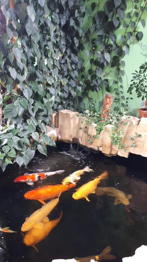 Apartman Koi Apartment Veltrusy Ngoại thất bức ảnh